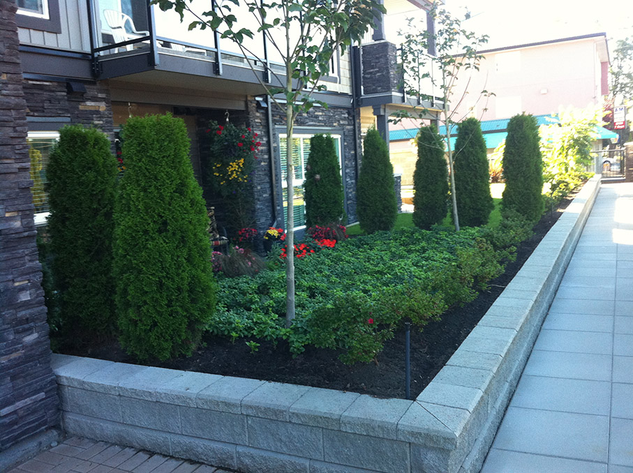 landscaping abbotsford